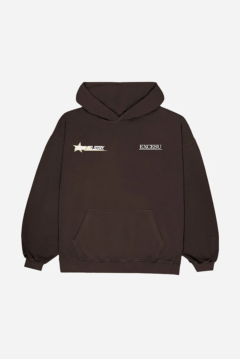 Brown Here To Stay Oversized Hoodie - Image 3