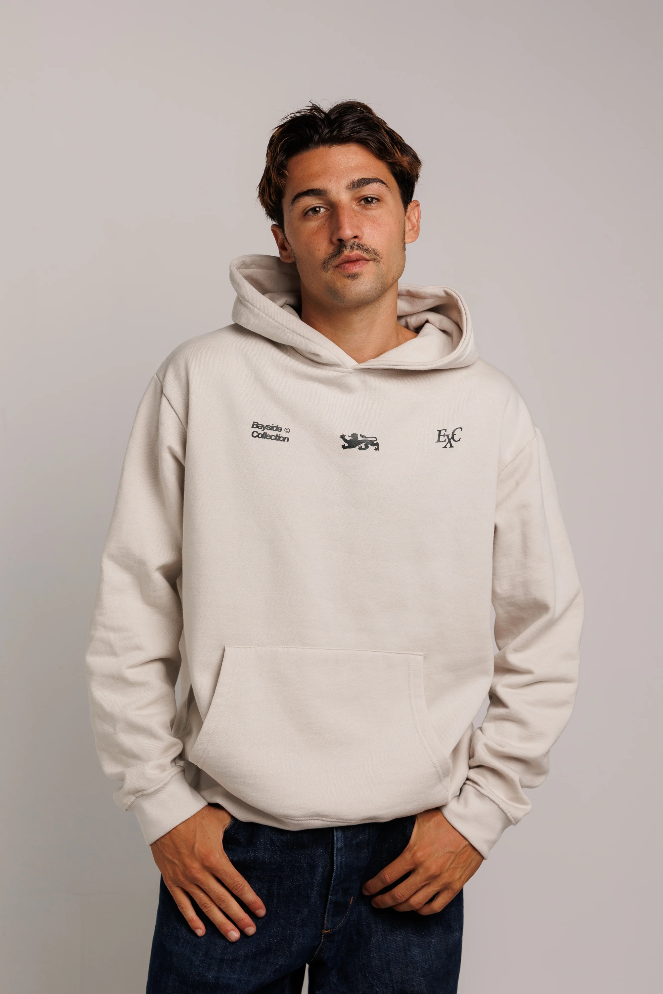 Light Gray Lion Hoodie - Image 4
