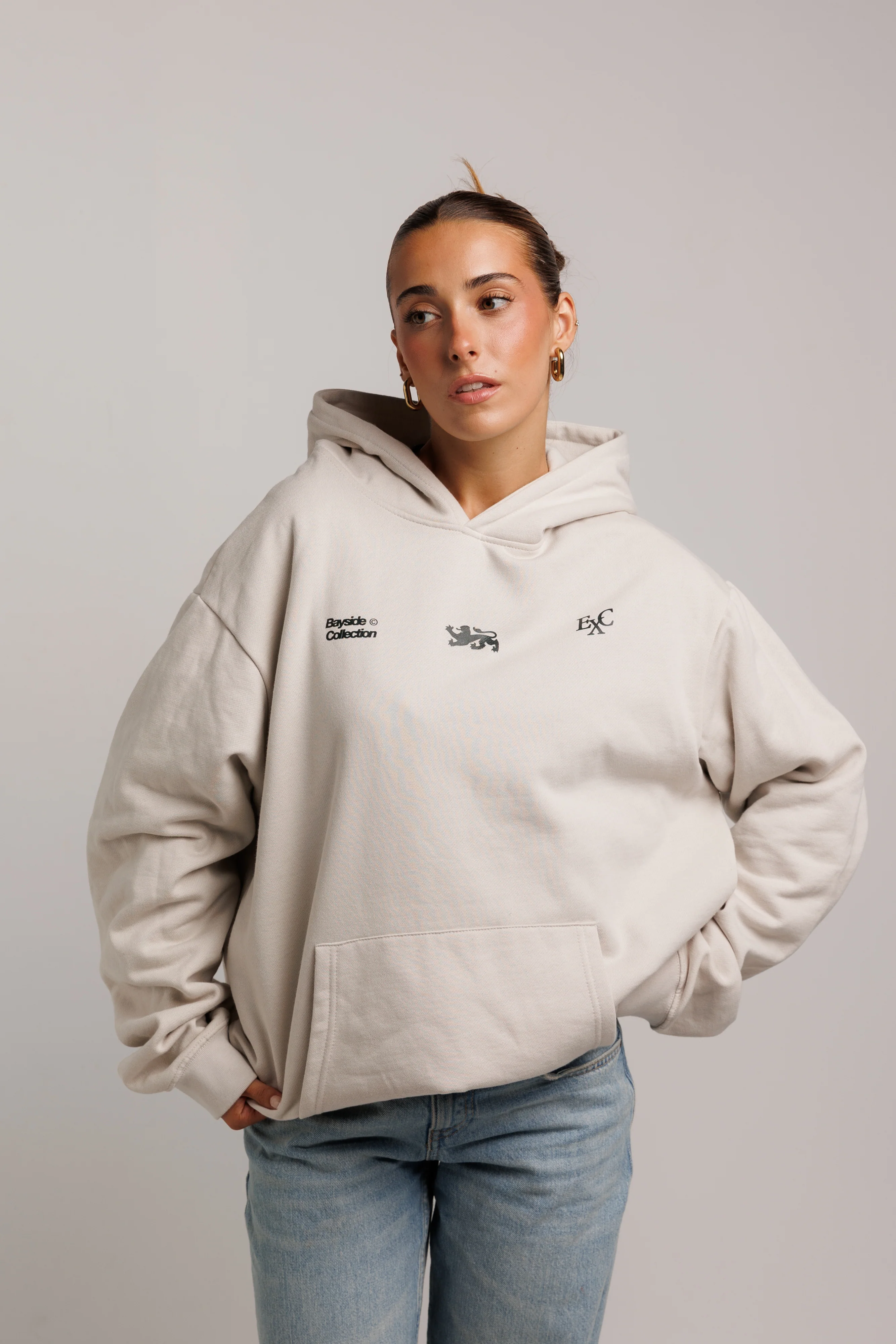 Light Gray Lion Hoodie - Image 5